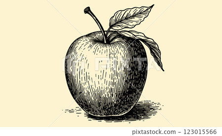 Intricate vintage apple engraving in black and sepia tones with detailed linework, illustration 123015566