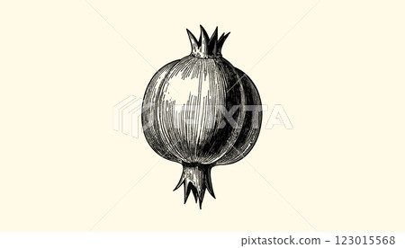 Intricate vintage pomegranate engraving in black and sepia tones with detailed linework illustration 123015568