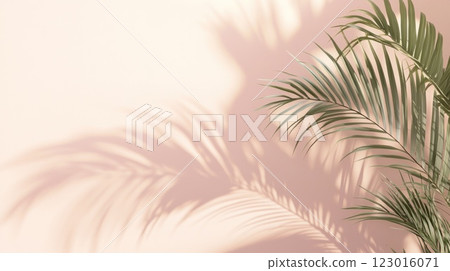 Palm leaf shadow on a pink wall. 123016071