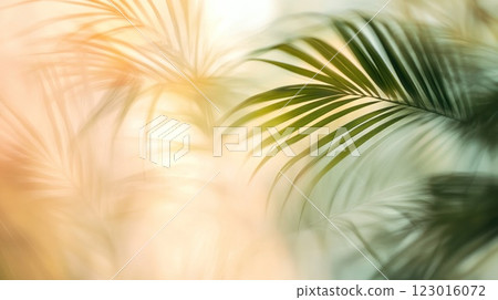 Sunlit palm fronds, blurred background, tropical feel. 123016072