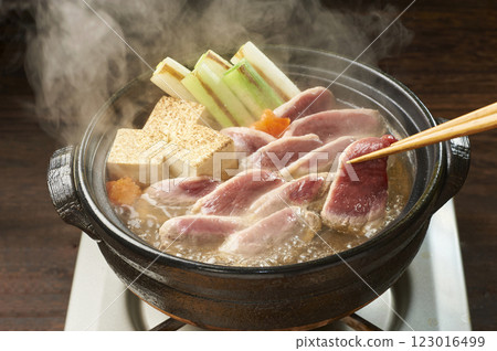 熱騰騰的鴨肉火鍋 熱騰騰的鴨肉火鍋 123016499