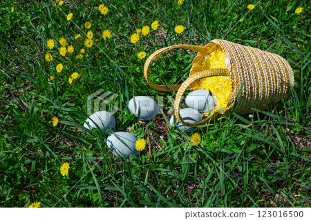 Overturned woven basket with blue eggs on green grass among yellow dandelions. 123016500