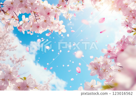  櫻花和藍天 123016562