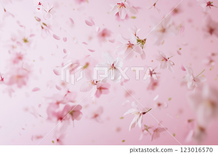 賞櫻花背景 123016570
