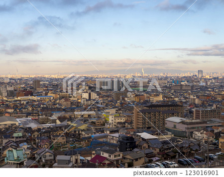 從高尾山眺望冬日的大阪 從高尾山眺望冬日的大阪 123016901