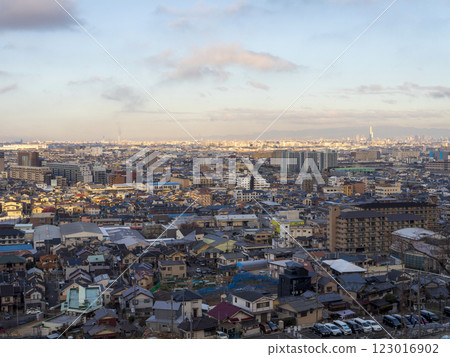 從高尾山眺望冬日的大阪 從高尾山眺望冬日的大阪 123016902