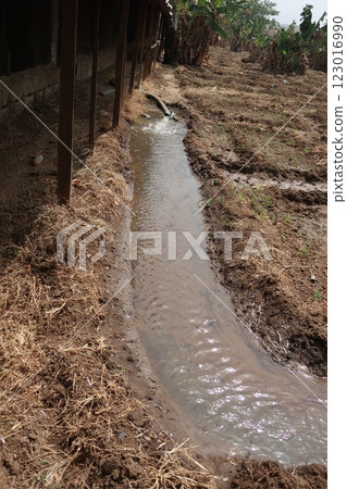 Irrigation in rural areas of the Federal Capital Territory of Nigeria Irrigation in rural areas of the Federal Capital Territory of Nigeria 123016990