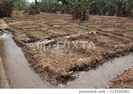 Irrigation in rural areas of the Federal Capital Territory of Nigeria Irrigation in rural areas of the Federal Capital Territory of Nigeria 123016991