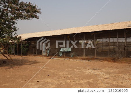 Poultry farming in rural areas of the Federal Capital Territory of Nigeria Poultry farming in rural areas of the Federal Capital Territory of Nigeria 123016995
