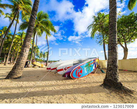 夏季、大海和海灘圖像夏威夷 123017009