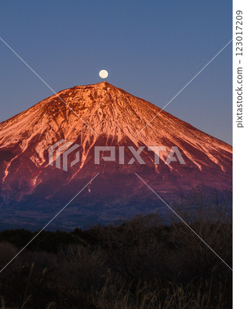 黃昏時的富士山與滿月（珍珠富士） 123017209