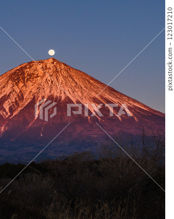 黃昏時的富士山與滿月（珍珠富士） 123017210
