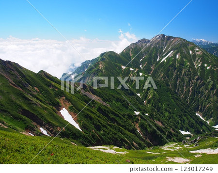 Mt. Goryu in summer as seen from Mt. Karamatsu in the Northern Alps Mt. Goryu in summer as seen from Mt. Karamatsu in the Northern Alps 123017249