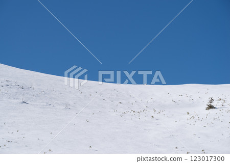 斯諾伊風景和藍天 斯諾伊風景和藍天 123017300