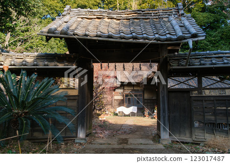 門口的陽光 123017487