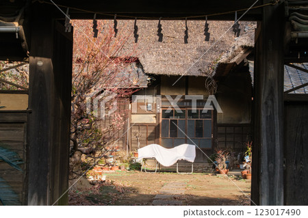 Thatched roof and gate 123017490
