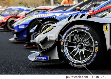 賽車輪胎 123017520