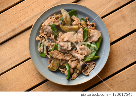 Stir-fried eggplant, green pepper and pork with miso Stir-fried eggplant, green pepper and pork with miso 123017545