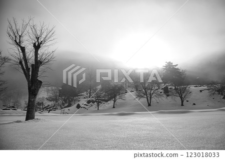 Ichijodani Asakura Clan Ruins shrouded in morning mist 123018033