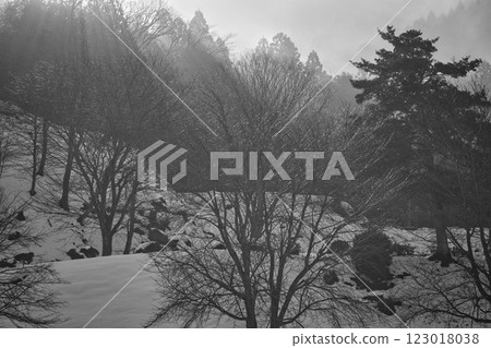 晨霧籠罩的一乘谷朝倉氏遺址 123018038