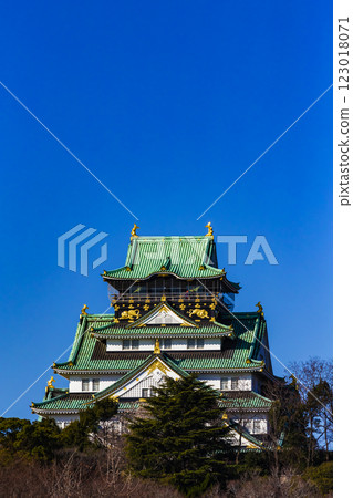 Osaka Castle Osaka Castle 123018071