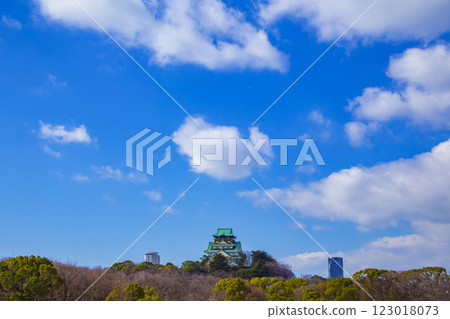 大阪城堡 123018073