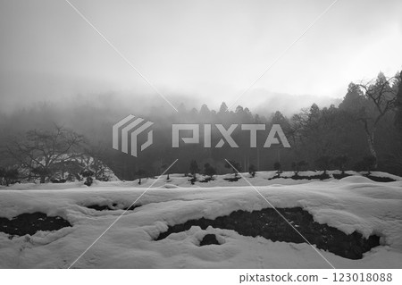 Ichijodani Asakura Clan Ruins shrouded in morning mist 123018088