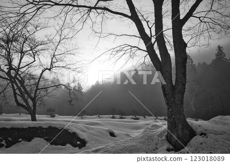 Ichijodani Asakura Clan Ruins shrouded in morning mist 123018089