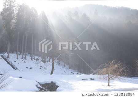 Ichijodani Asakura Clan Ruins shrouded in morning mist Ichijodani Asakura Clan Ruins shrouded in morning mist 123018094