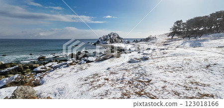 『青森縣』八戶市中須賀、種差海岸的冬日風景 123018166
