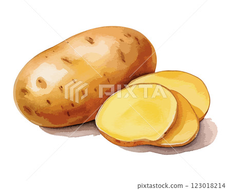 馬鈴薯水彩插圖-AI生成 123018214