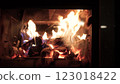 Burning fire logs inside stone fireplace. Close-up view. 123018422
