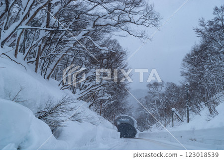 Snow shelter Driving on a snowy national highway c-1 123018539