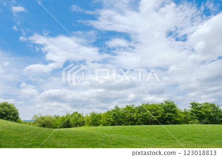 Refreshing grassland and blue sky with clouds 123018813