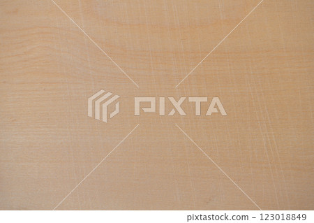 Texture scratched birch plywood 123018849