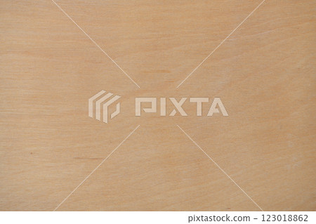 Birch plywood texture 123018862