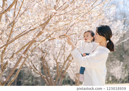 Mother and daughter watching cherry blossoms in full bloom Mother and daughter watching cherry blossoms in full bloom 123018939