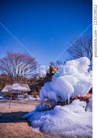 [Yamanashi Prefecture] A starry night at Lake Saiko Wild Bird Forest Park, ice sculptures and Mt. Fuji 123019012