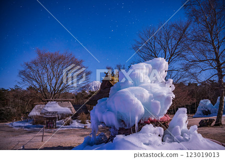 [Yamanashi Prefecture] A starry night at Lake Saiko Wild Bird Forest Park, ice sculptures and Mt. Fuji 123019013