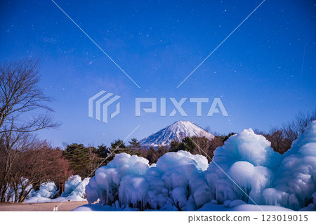 [Yamanashi Prefecture] A starry night at Lake Saiko Wild Bird Forest Park, ice sculptures and Mt. Fuji 123019015