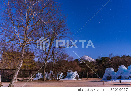 [Yamanashi Prefecture] A starry night at Lake Saiko Wild Bird Forest Park, ice sculptures and Mt. Fuji 123019017
