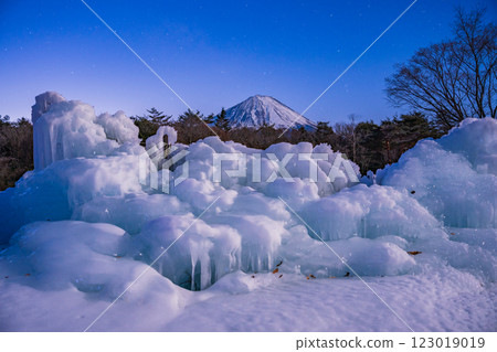 [Yamanashi Prefecture] A starry night at Lake Saiko Wild Bird Forest Park, ice sculptures and Mt. Fuji 123019019