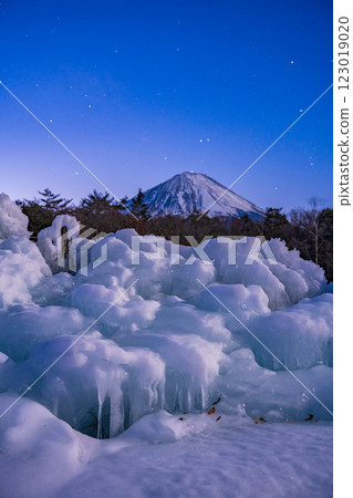 [Yamanashi Prefecture] A starry night at Lake Saiko Wild Bird Forest Park, ice sculptures and Mt. Fuji 123019020