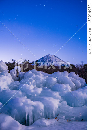 【山梨縣】西湖野鳥森林公園的星夜、冰雕和富士山 123019021