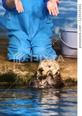 Lilo-kun of Marine World Uminonakamichi Lilo-kun of Marine World Uminonakamichi 123019161