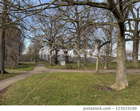 Burggarten and forest Burggarten and forest 123019180