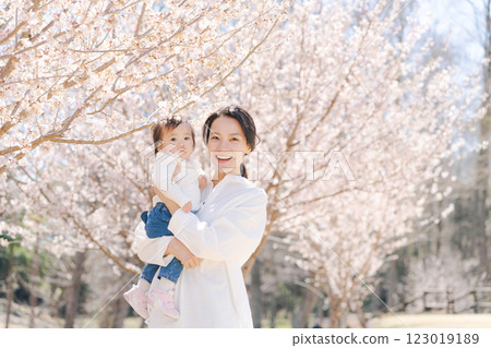 Parents and children watching the cherry blossoms in full bloom Parents and children watching the cherry blossoms in full bloom 123019189
