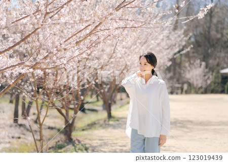 沿著櫻花樹散步的年輕女子 123019439