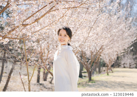 Young woman walking along cherry blossom trees 123019446