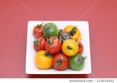 Tomato Tomato 123019502